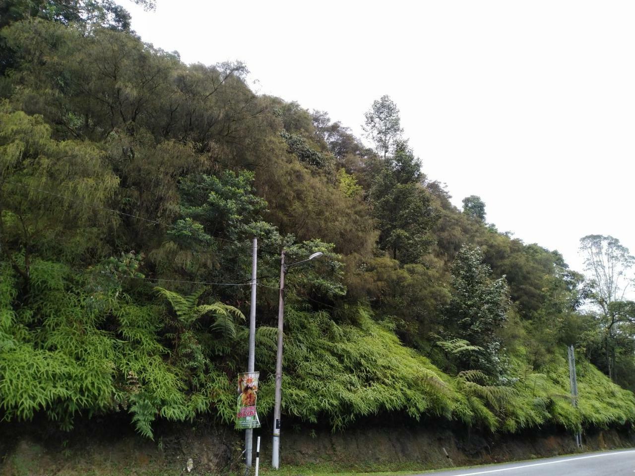 Desa Anthurium Apartment Cameron Highlands Exterior photo