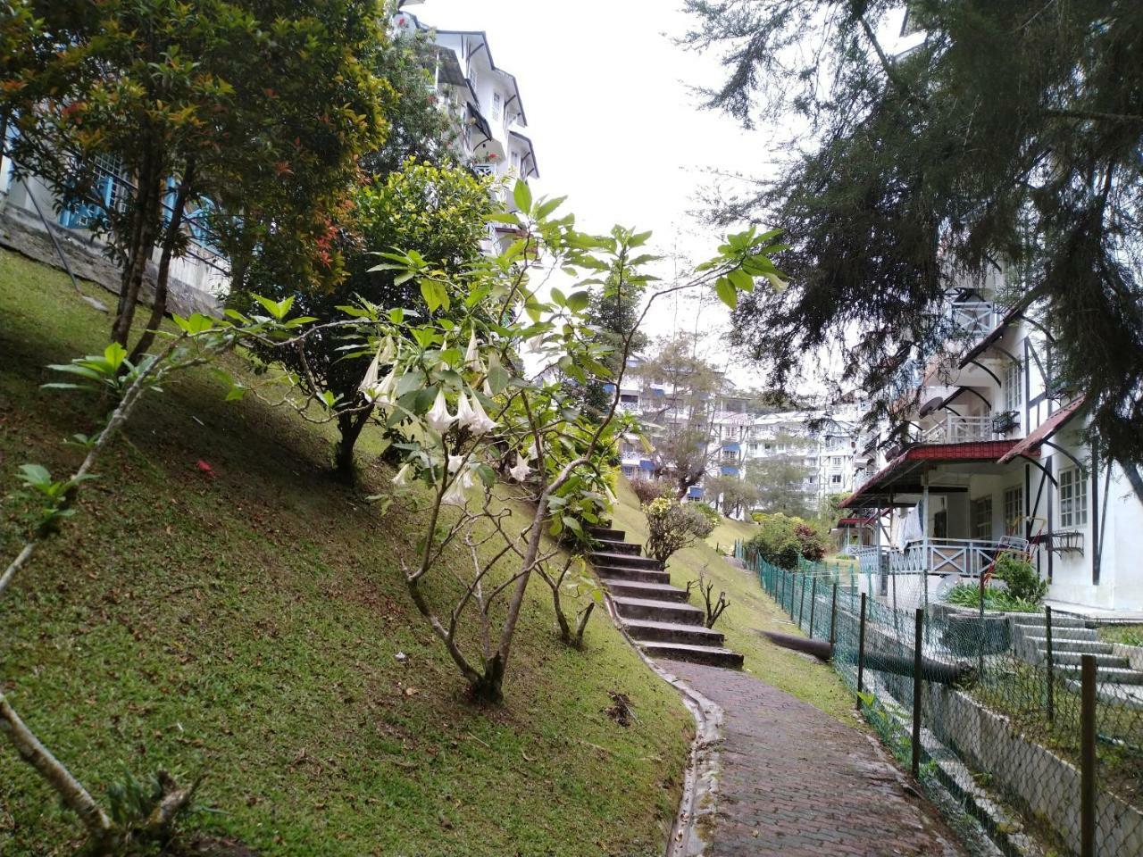 Desa Anthurium Apartment Cameron Highlands Exterior photo