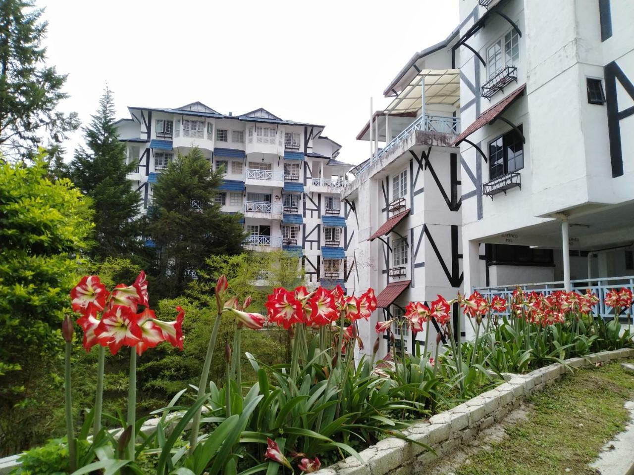 Desa Anthurium Apartment Cameron Highlands Exterior photo