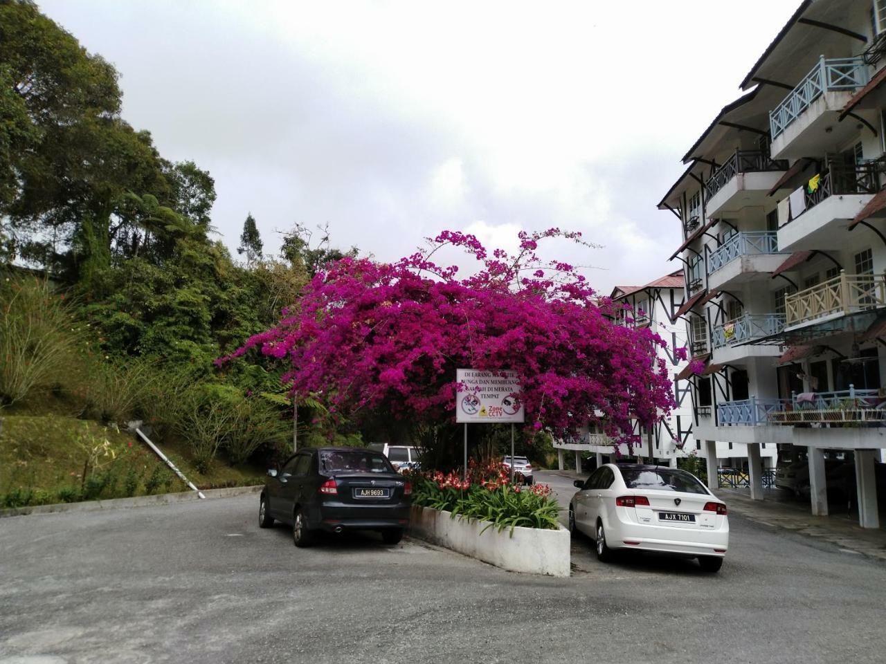 Desa Anthurium Apartment Cameron Highlands Exterior photo